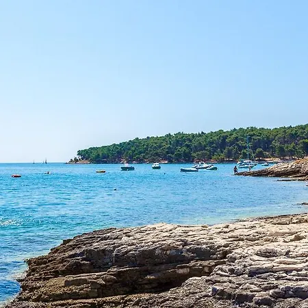 Apartments Verde Apartment